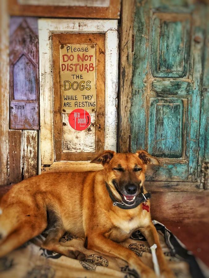 Red Door Hostel Anjuna Zewnętrze zdjęcie